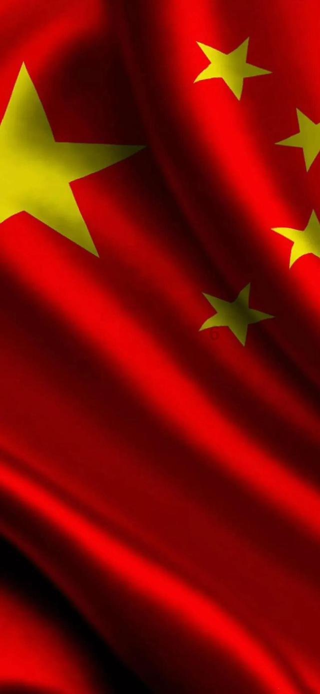 飞扬的独眼鸟